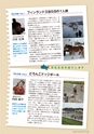 広報誌秋号2013