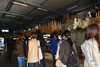 花.JPG